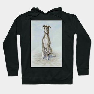 Gorgeous greyhound! Hoodie